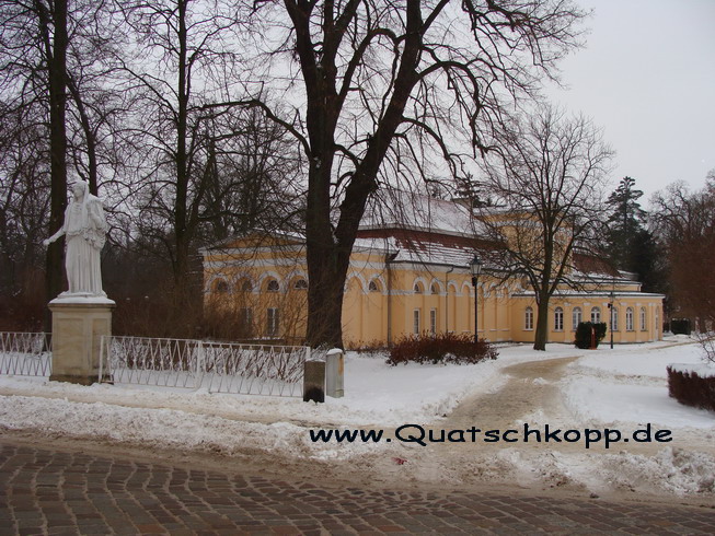 2010-01 Groß Quassow-Neustrelitz Storchennest 4