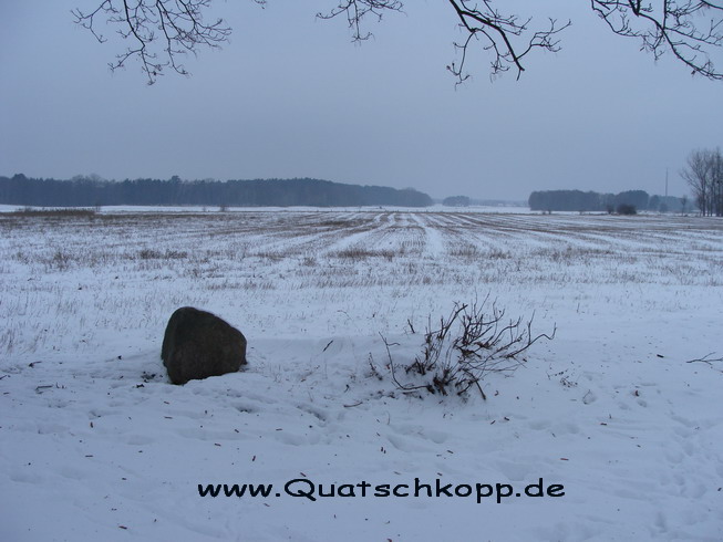 2010-01 Groß Quassow-Neustrelitz Storchennest 5