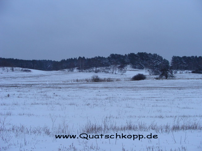 2010-01 Groß Quassow-Neustrelitz Storchennest 6