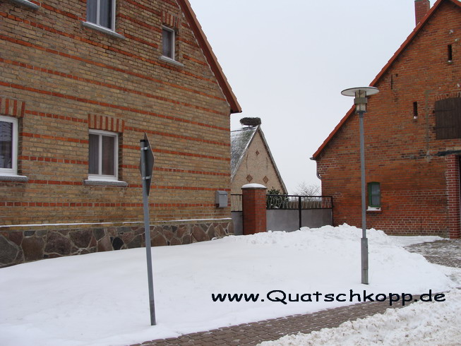 2010-01 Groß Quassow-Neustrelitz Storchennest 9
