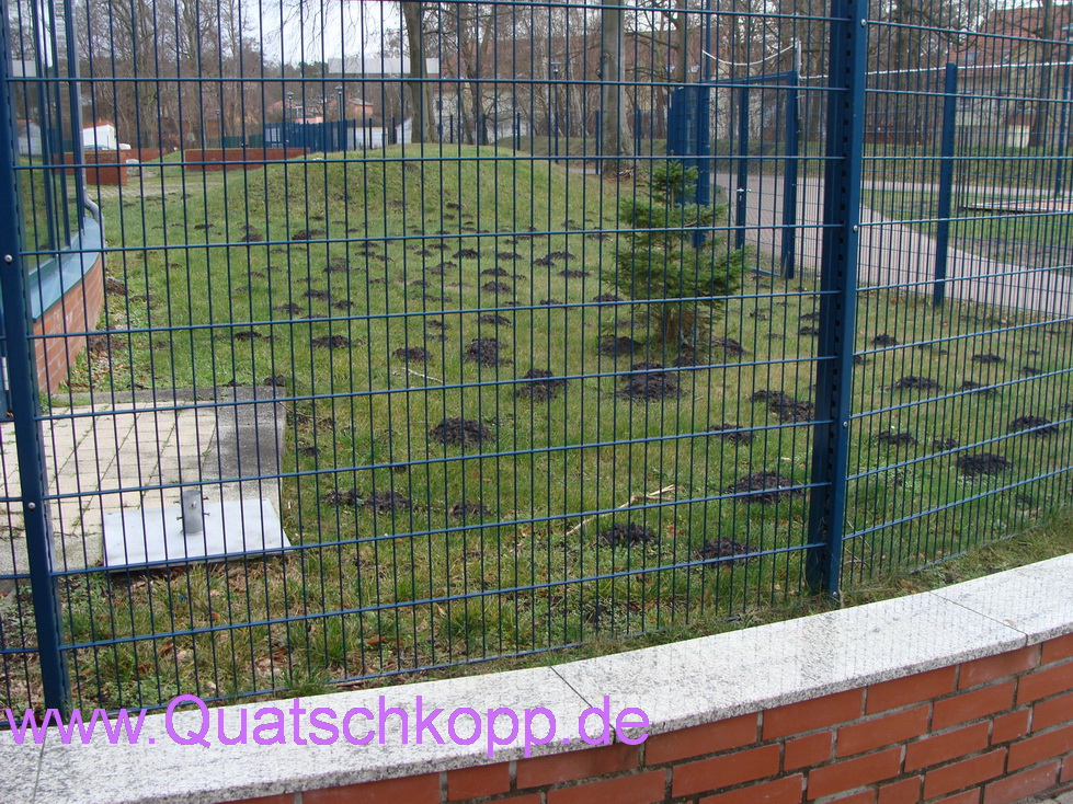 2014 Graal Müritz Ostsee Sturm Quatschkopp 10