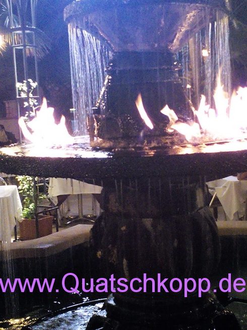 Brennendes Wasser 2014 Malle Quatschkopp 04